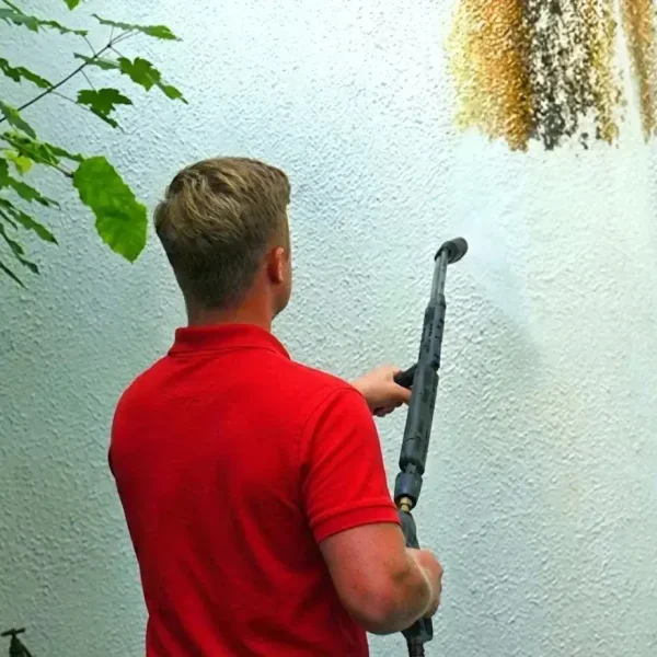 wall cleaning with steam dublin